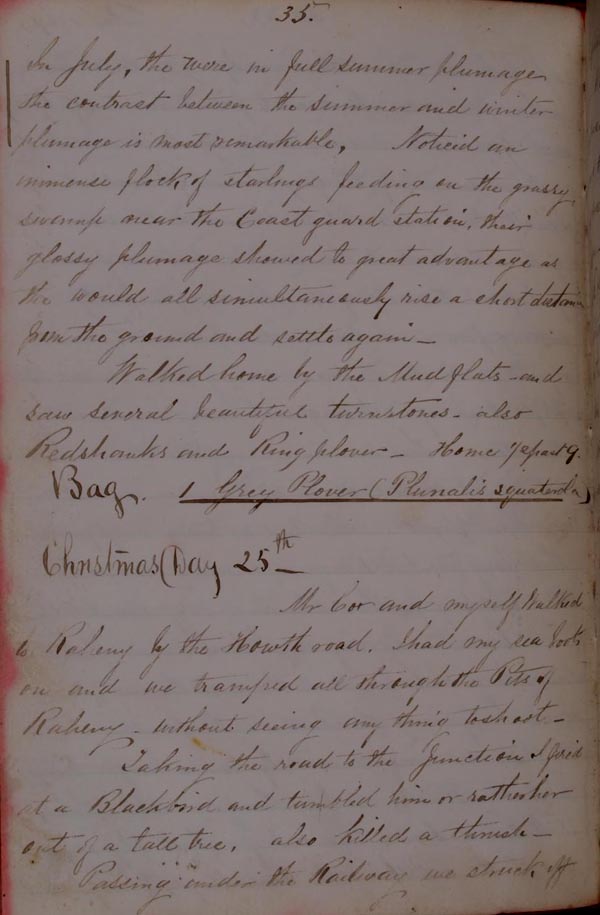 Ornithological Notes & Shooting Diary 1867 (title) 002[1].JPG